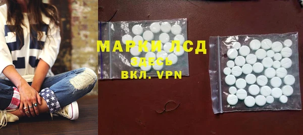 индика Белоозёрский