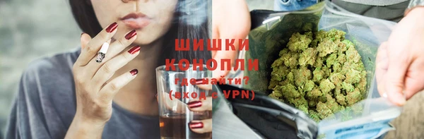 индика Белоозёрский