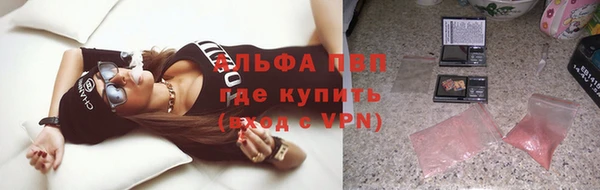 индика Белоозёрский