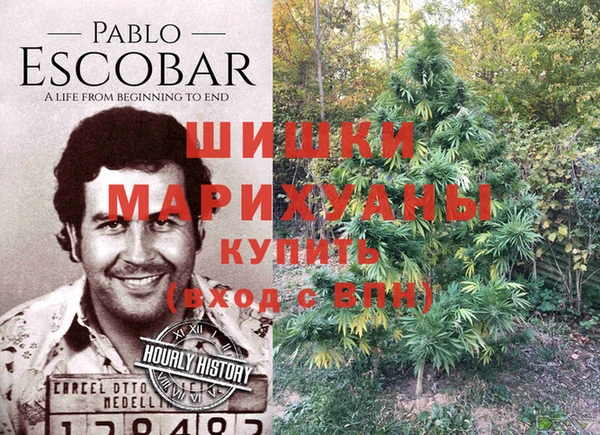 индика Белоозёрский
