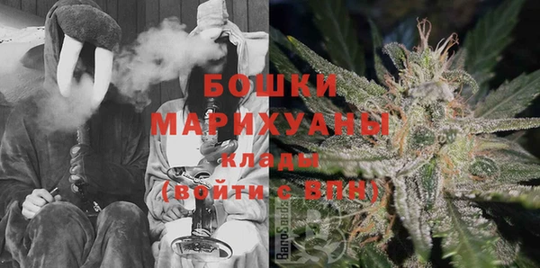 индика Белоозёрский