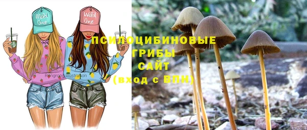не бодяженный Белокуриха