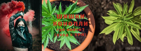 не бодяженный Белокуриха