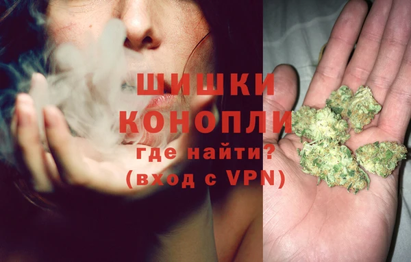 индика Белоозёрский