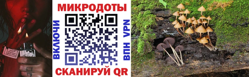 наркотики  Сухиничи  Псилоцибиновые грибы мухоморы 